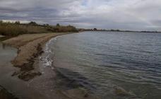 La Comunidad y los ayuntamientos agilizan los protocolos de actuación en el Mar Menor