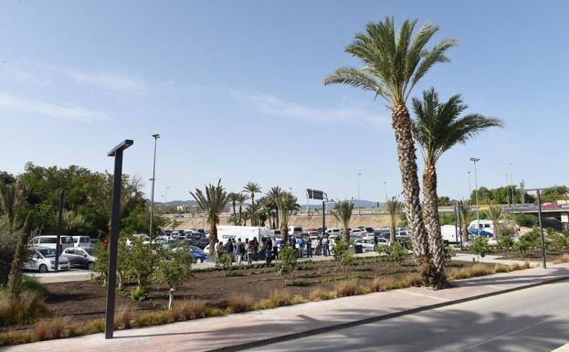 'Murcia Río' acerca la esencia de la huerta con un jardín que conecta El Malecón con el río Segura