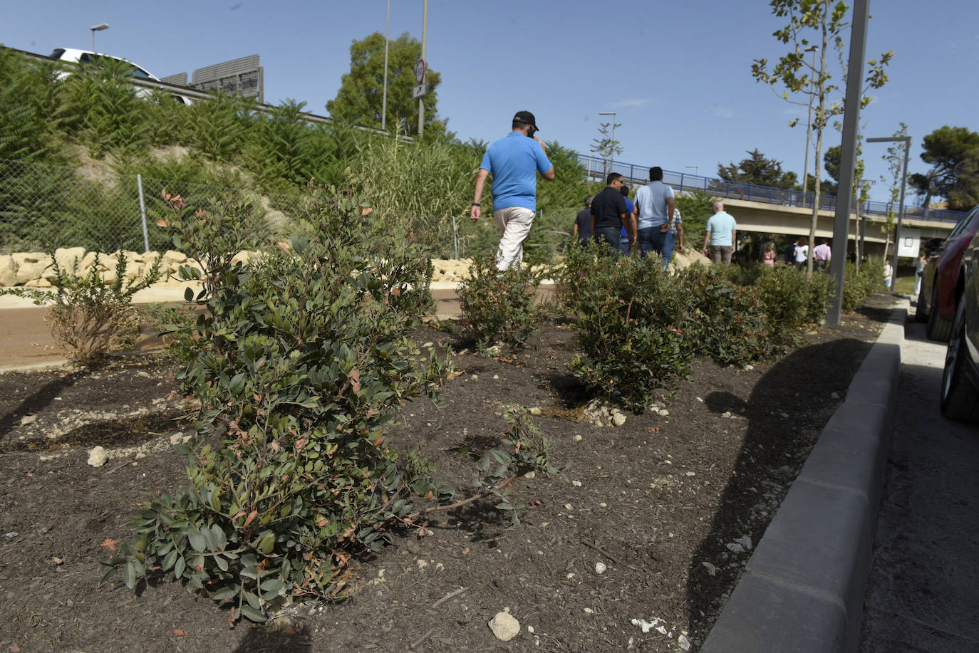 'Murcia Río' conecta El Malecón con el Segura con un nuevo jardín