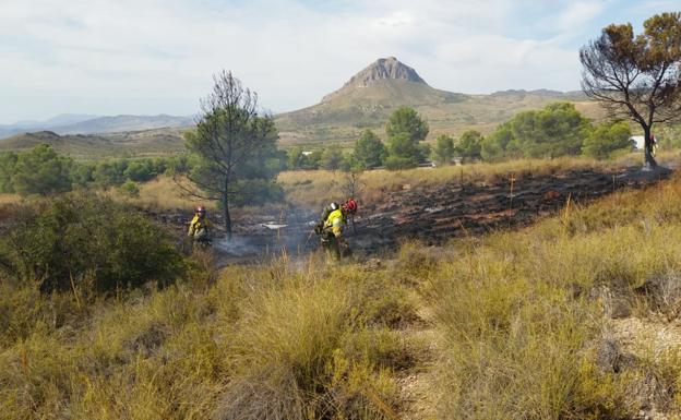 Controlado el incendio forestal ocasionado por un camión en llamas en Cieza