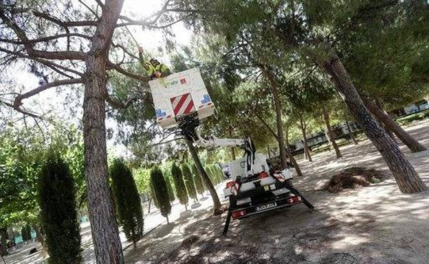 El Ayuntamiento de Murcia pone a punto las zonas verdes de la ciudad antes de la Feria