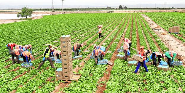 Las organizaciones agrarias extreman los controles para evitar una 'burbuja' financiera