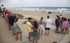 «Ha intentado volver a coger altura y entonces se ha escuchado una explosión»