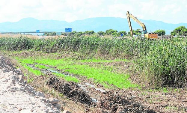 Limpieza preventiva en El Albujón
