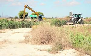 La CHS limpia y refuerza ramblas en 19 municipios con riesgo de sufrir riadas