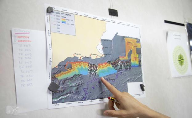Encuentran distintas especies de corales de alto valor ecológico en los fondos marinos de la Región de Murcia