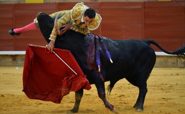 Paco Ureña abandona la Unidad de Reanimación y pasa a planta