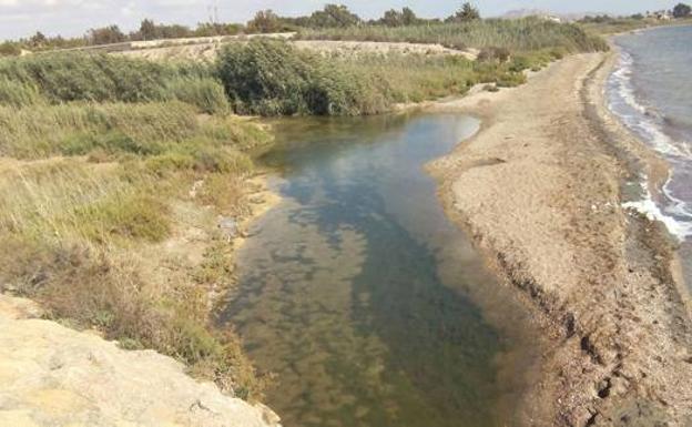 La CHS y los regantes estudian las opciones para bombear agua del Albujón a El Mojón