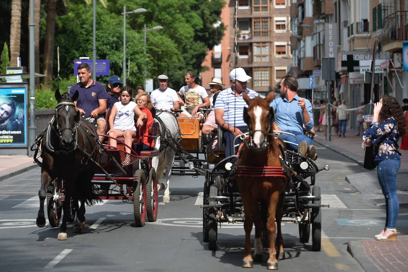 300 personas participan en el Día del Caballo de la Feria de Murcia