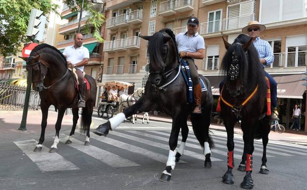 300 personas participan en el Día del Caballo de la Feria de Murcia