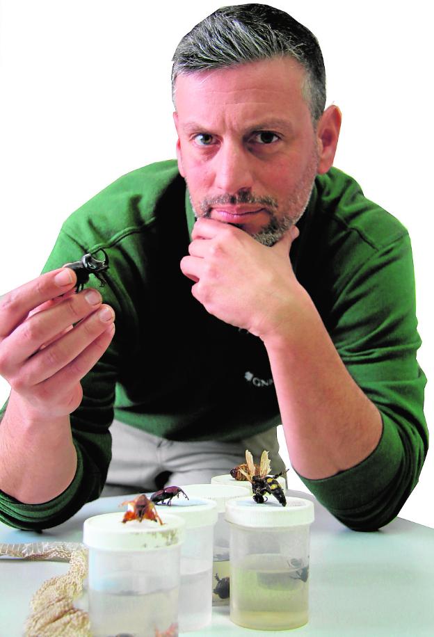 La otra plantilla de Riquelme