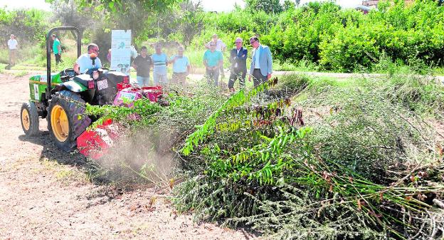 Empieza la trituración de los restos de poda en Murcia para disminuir las quemas