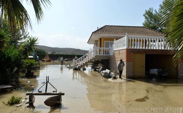 Molina de Segura se pone en alerta contra el mosquito tigre tras las inundaciones