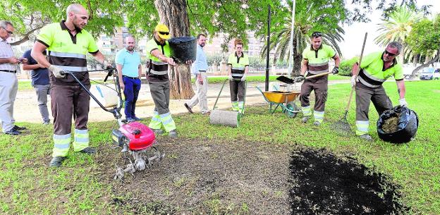 Resiembran el césped de más de mil jardines para prevenir los efectos de las heladas