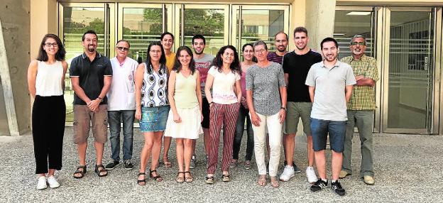 Identifican un gen que determina una enzima relacionada con el alzhéimer