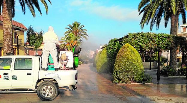 Los ayuntamientos intensifican la fumigación contra los mosquitos