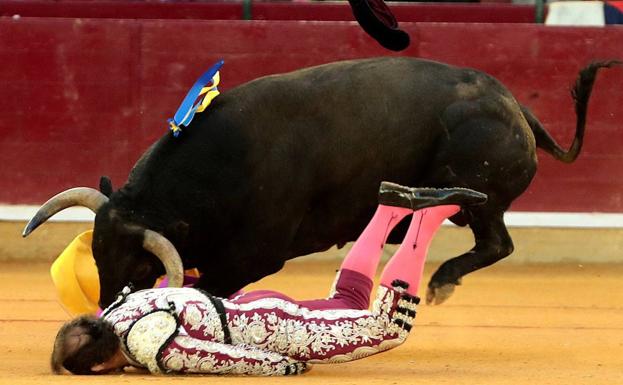 El banderillero Mariano de la Viña, en estado crítico tras una grave cornada en Zaragoza