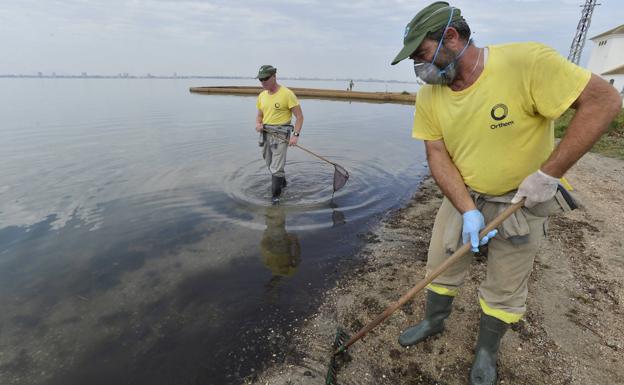 Teresa Ribera: «El Mar Menor pone de manifiesto el colapso de un modelo insostenible»
