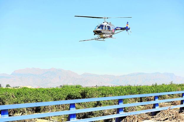 Ofensiva contra el mosquito tigre en 16 pedanías y en el casco urbano de Murcia