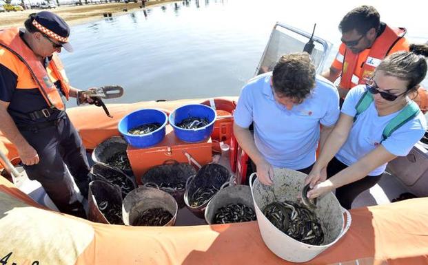 Los pescadores se niegan a colaborar con la Comunidad porque «llevan 30 años sin oírnos»
