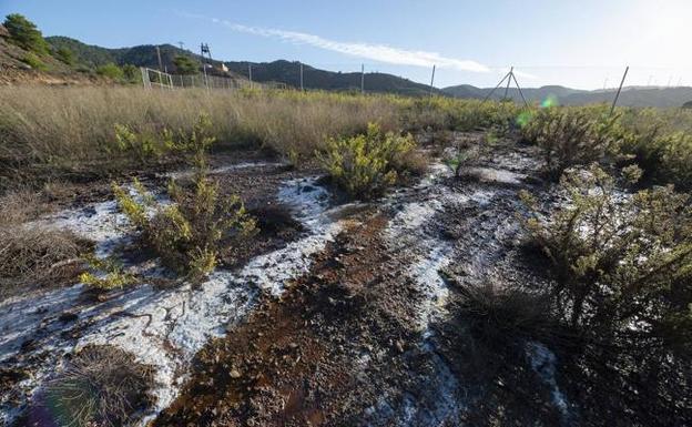 Imputan a la cúpula de Portmán Golf por la negociación con Valcárcel sobre 'Jenny'