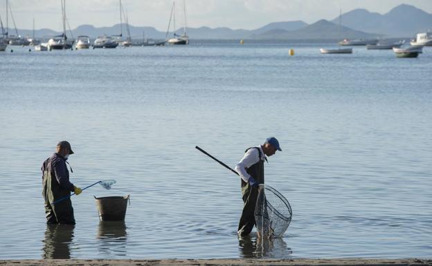 Los agricultores estallan y denuncian una persecución por el desastre del Mar Menor