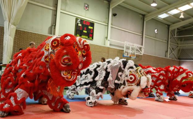 Alquerías se convierte en un gran 'dojo'