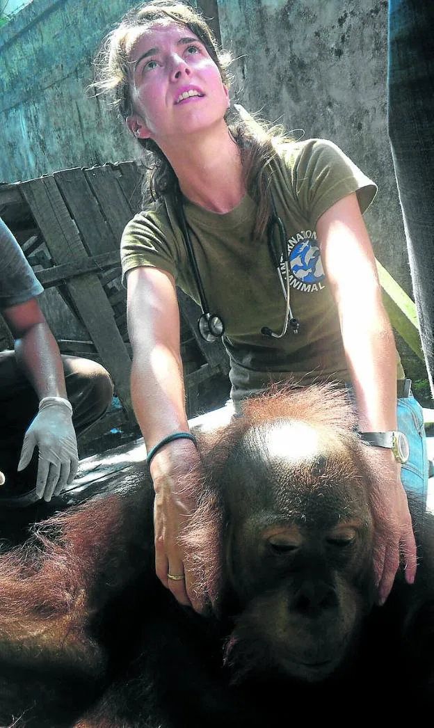 Karmele Llano, junto a uno de los orangutanes rescatados. / r. C.