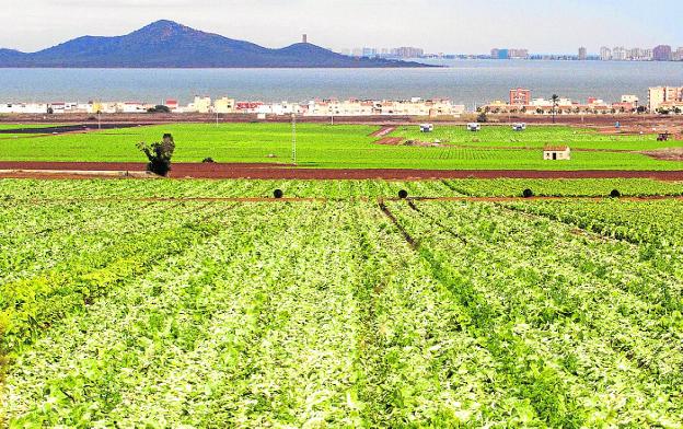 Proexport hace gala de una batería de medidas para no dañar al Mar Menor