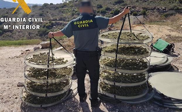 Tres detenidos en Cartagena en una operación contra el tráfico de marihuana