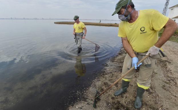Destinan 7,3 millones a ayudas para proyectos de investigación en el Mar Menor