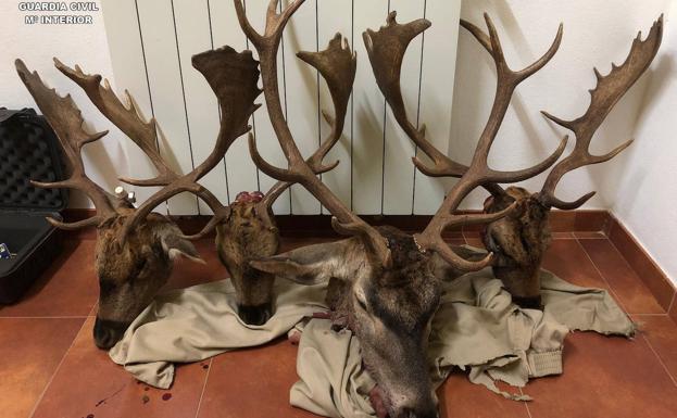 Detenidos dos furtivos de Torre Pacheco por cazar con medios prohibidos en Cuenca