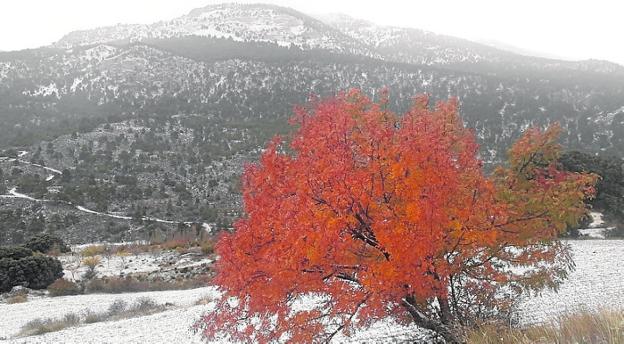 Ventiscas de nieve dejan el primer manto blanco en Revolcadores