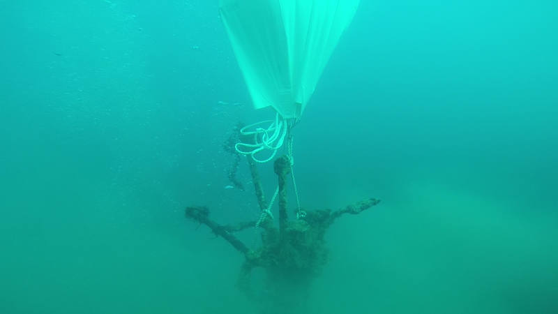 'Basuraleza' fuera de la posidonia