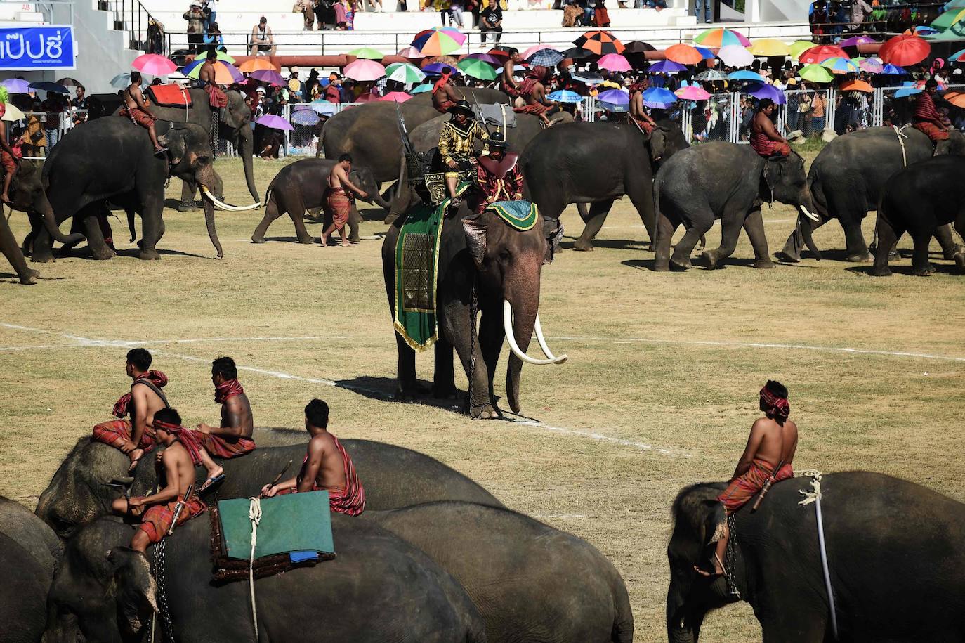 El festival del elefante