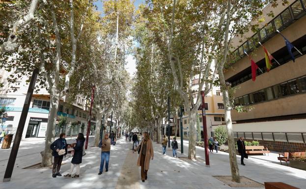 Los residentes tienen tres meses para pedir la autorización para circular por Alfonso X de Murcia