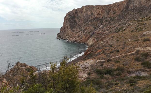 La fuerza aérea de la restauración vegetal