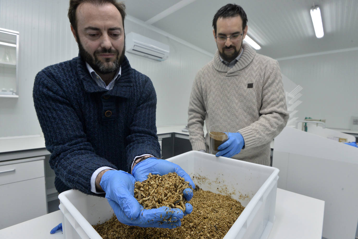 Abre en Cehegín el centro que investiga el uso de insectos para reutilizar residuos