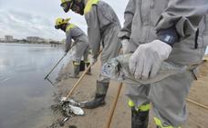 El Ministerio envía documentación a la Fiscalía por los vertidos al Mar Menor