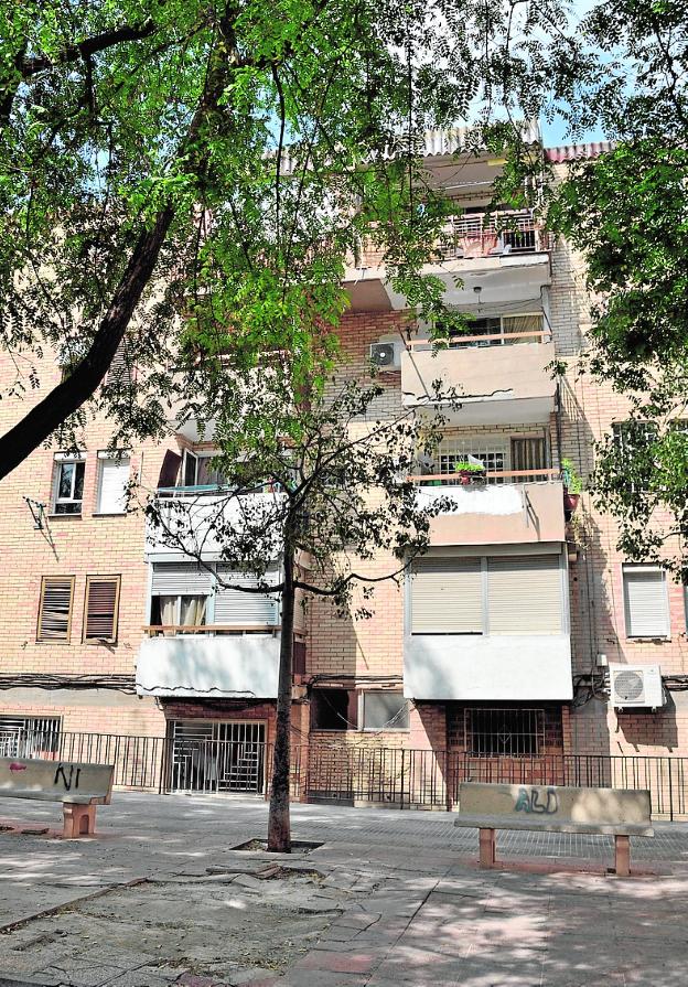 La rehabilitación de 973 viviendas renueva la cara del barrio de Los Rosales de El Palmar