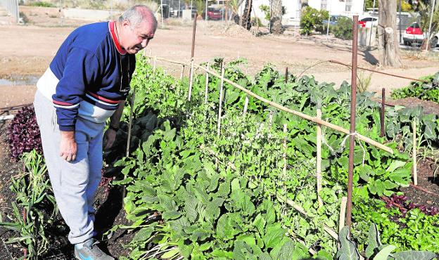 Una norma dará más facilidades para alquilar y cultivar los bancos de tierras en Murcia