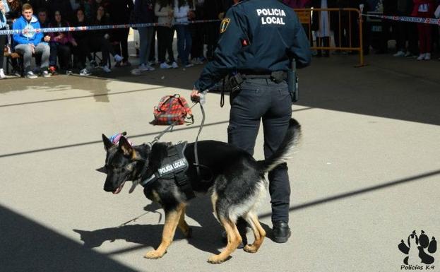 Detienen en Molina a un menor por resistencia y desobediencia