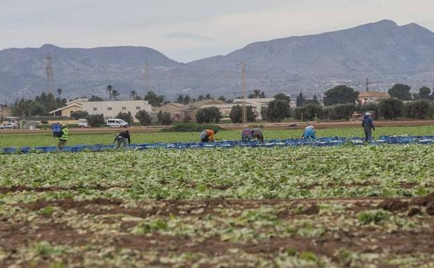 Rebelión del Campo de Cartagena por su posible exclusión del próximo trasvase