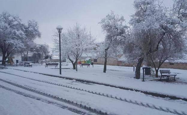 Nevadas en el Altiplano y el Noroeste y lluvias en toda la Región desde este fin de semana