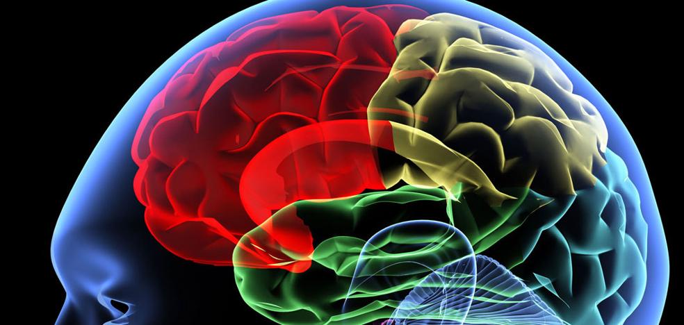 Formulando hipótesis