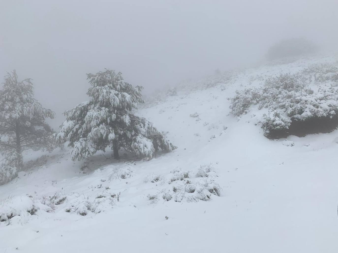 Temporal en la Región