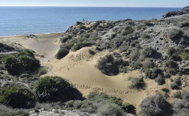 Medio Ambiente estudia las alegaciones al cese del vertido hacia Calblanque