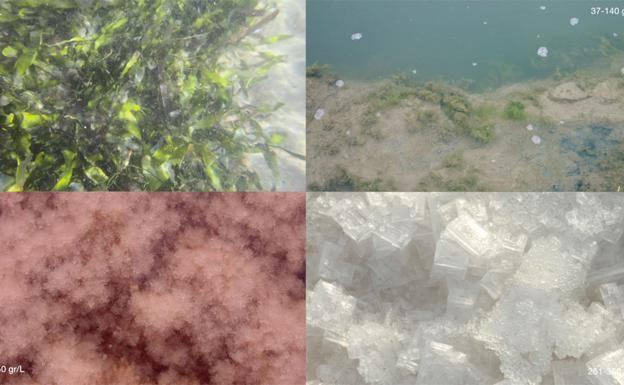 'Capital natural: el capítulo del mar'