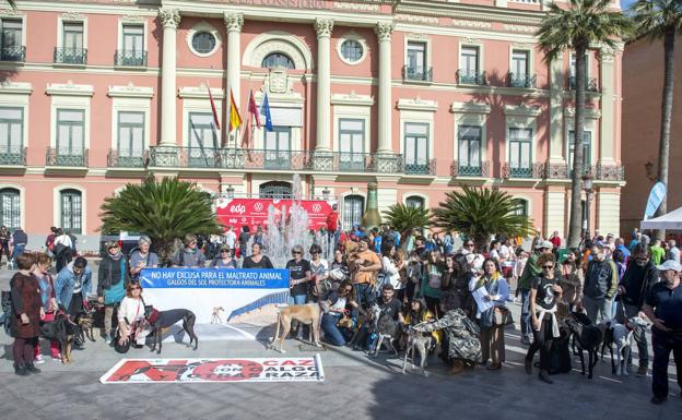 Decenas de personas exigen en Murcia una ley que proteja a los perros de caza
