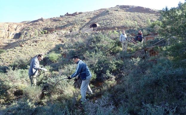 La Unión hace la fuerza